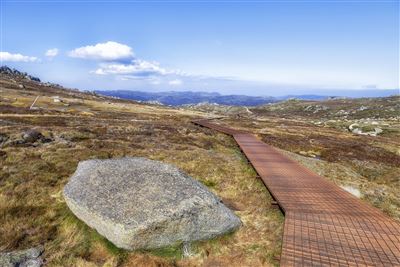 Wanderwege im Kosciuszko National Park